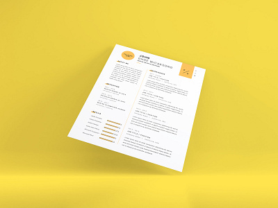 Download Curriculum Vitae Mockup Vol 14