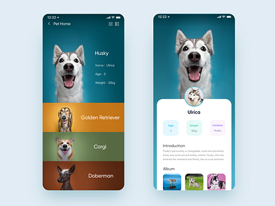 User Profile animal app blue color colorful dog green husky interface introduction orange personal photoshop profile redeemer user