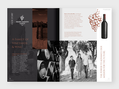 Vineyard Brochure Template alfaera catalog clean coreldraw design elegant modern print template vineyard wine winery