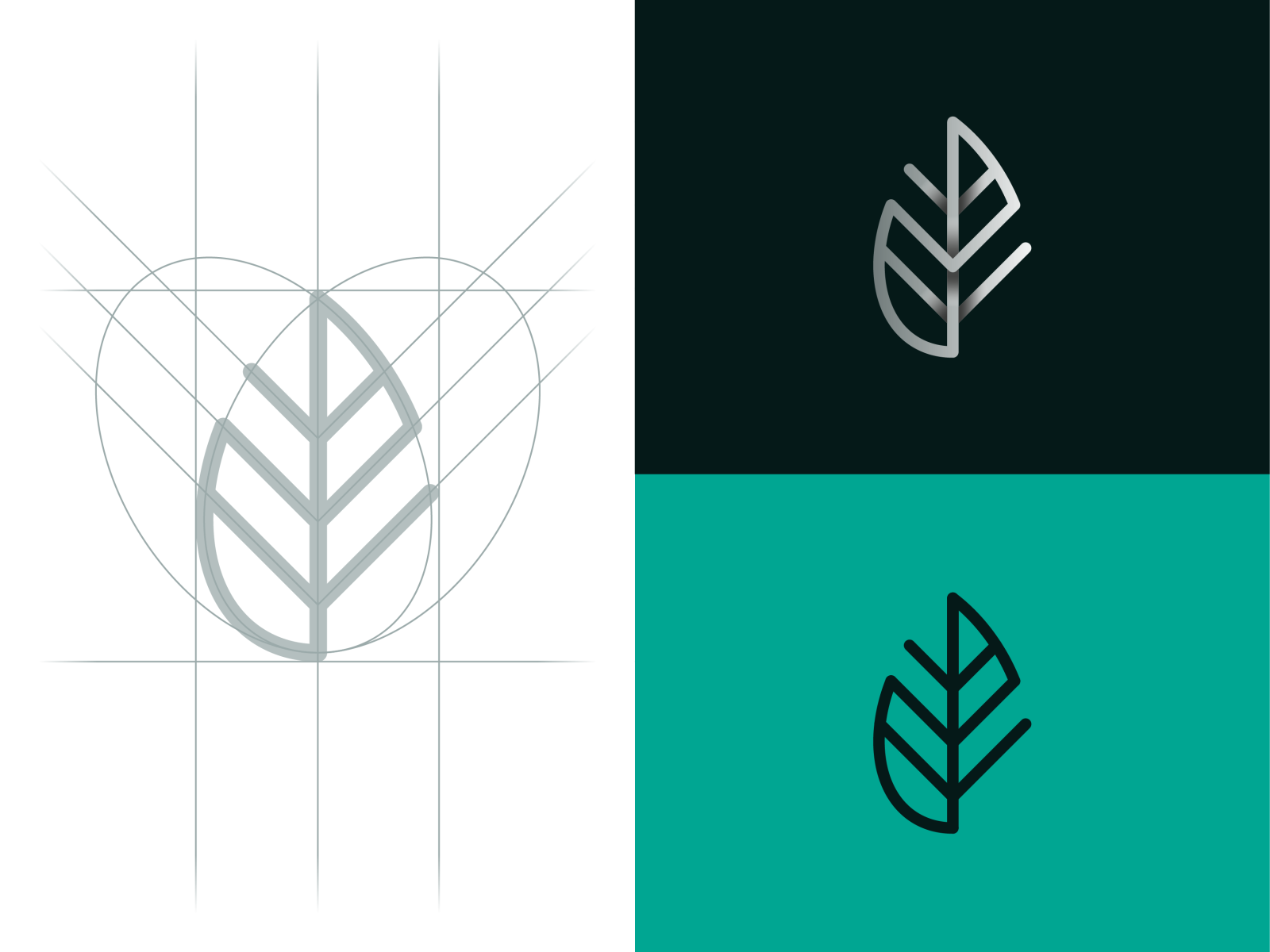 leaf by Nick Ugre on Dribbble