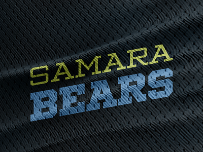 Samara BEARS animal bears fantasy football jersey logo logotype sports team vector wordmark