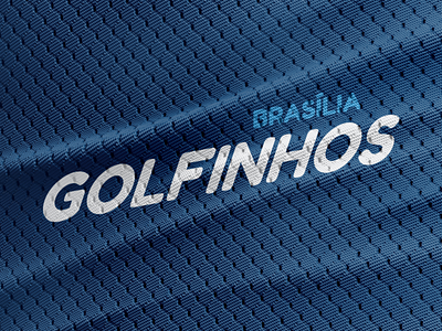 Brasília GOLFINHOS animal branding dolphin fantasy football golfinho jersey logo sports team vector wordmark