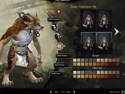 Character Create for Guild Wars 2 games graphic design guild wars interactive ui