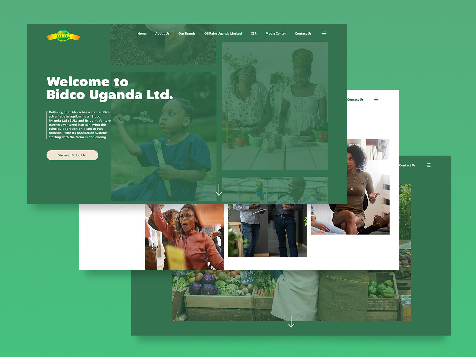 Bidco Limited by Taimour Sohail on Dribbble