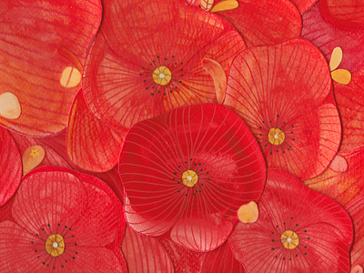 Poppy aquarelle collage flow flowers paper poppy posca watercolor