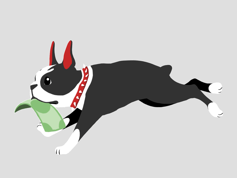 Giving to BU 2d animation cel dog fundraising illustration mascot