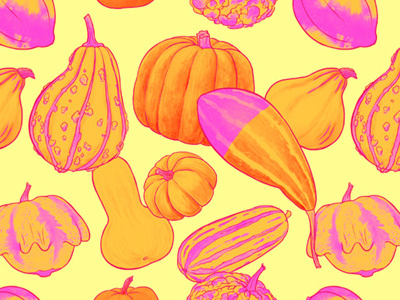 Gourds Galore Summer art licensing fashion gourds illustration pattern pumpkins repeat pattern surface design textile design
