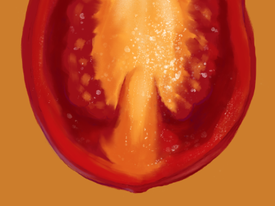 Tomato cross section digital art digital painting food food illustration healthy illustration photoshop realistic tomato vegetable