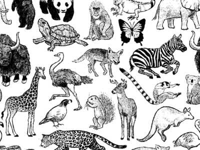 A-Z Menagerie animals black and white drawing exotic illustration menagerie nature pattern repeat repeat pattern surface pattern design textile design wildlife zoo