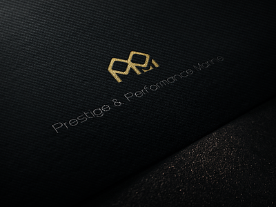 PPM Logo on Textile carbon fiber gold logo sliver titanium yacht branding
