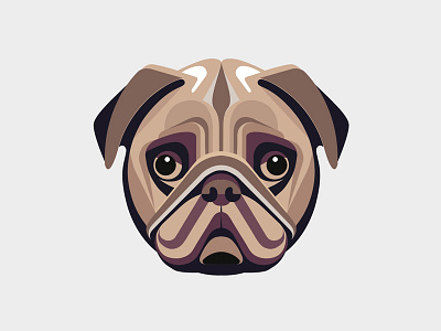 Pug illustration