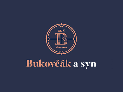 Logo Bukovčák a syn b brand circle coin darencurtis design letter logo numismatics symbol