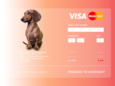 Credit Card Checkout checkout creditcard dachshund dailyui ui ux