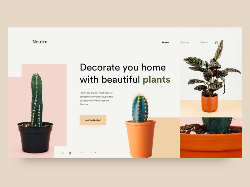 Neutro : Header Exploration creative design decoration design design inspiration header header design header exploration header ui minimal plant ui ui design ui ux user experience user interface ux web web desgin web ui website