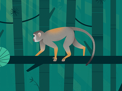 Squirrel Monkey bamboo forest forest illustration monkey squirrel monkey