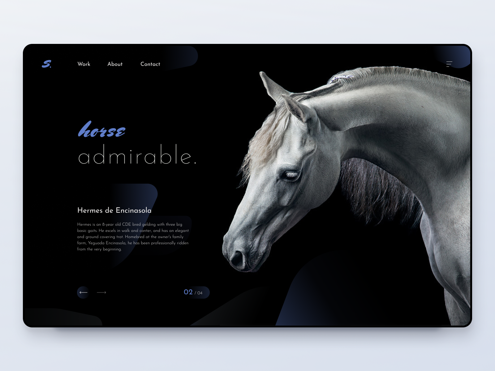 ui-concept-horse-riding-club-by-lyubov-kurach-on-dribbble