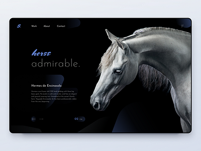 UI concept: Horse-riding club animals catalog design horses ui ux ui concept ui design