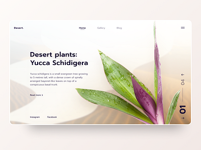 Info portal: Desert concept design ui ui ux web design