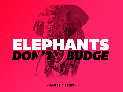 Elephants Don't Budge