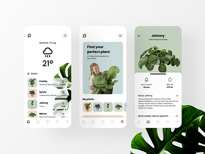Plantsome App Concept app design interface light mobile plants ui ux web webdesign