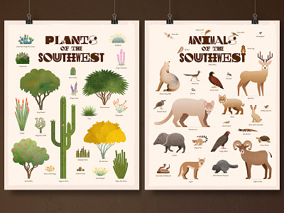 Southwest Plants and Animals Posters design illustration