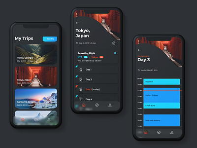 Travel Itinerary & day planner app (dark mode)