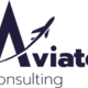 Aviato Consulting 