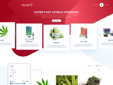 Planet 13 Website Design branding design ui ux web website