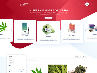 Planet 13 Website Design