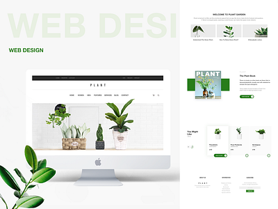 Green plant ui web design