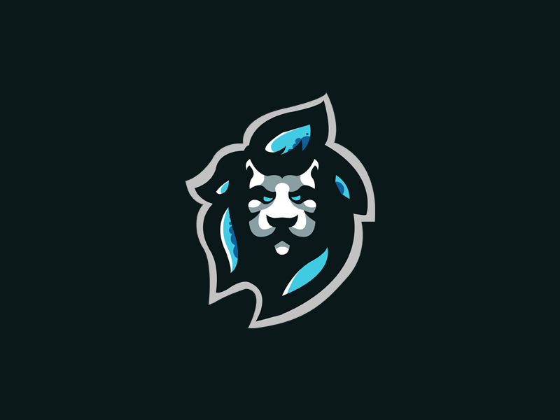 Lion sports logo by Mubashir™ on Dribbble