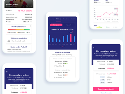 Loan Application app design graph interface loan ui ux user