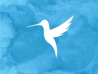 Hummingbird bird blue branding image design graphic design hummingbird icon painting watercolor watercolor painting