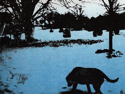 Shadow's Land blue contrast dog land photo taglio printmaking