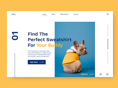 Chewy Landing Page concept dogs landingpage ui ui design uiux