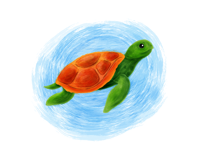 Sea Turtle - Process brush illustration paint sea turtle