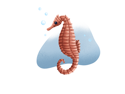 Seahorse - (26/100 ) Daily Illustration Challenge