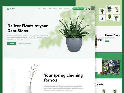 Creative - Top Plants Web Landing page indoor plants