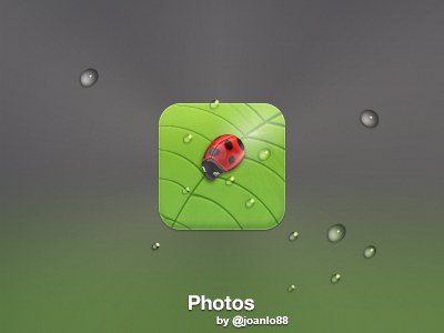 Photos icon iphone ladybird leaf photo photos