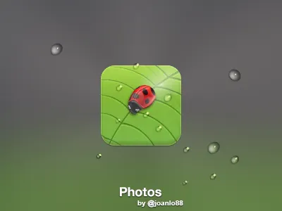 Photos icon iphone ladybird leaf photo photos