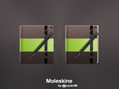 Moleskine Icons