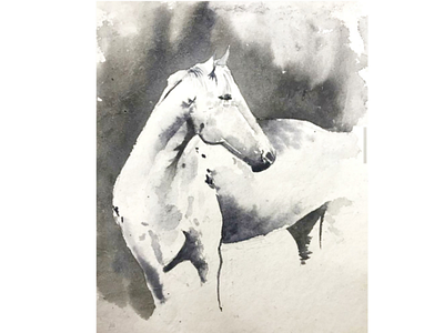 Horse horse illustration monochrome