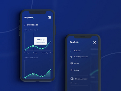 Paysee app charts dashboard design interface mobile native ui ux