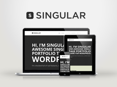 WP Singular - One Page Responsive WordPress Theme