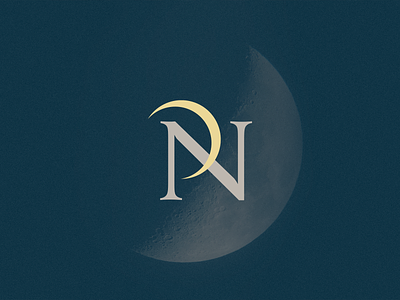 P+N Monogram branding design icon logo lunar monogram monogram design monogram letter mark monograms moon p space thumbnail typography vector