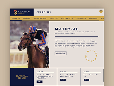 Website for Thoroughbred Racing Partnership css design horse horse racing html html css thoroughbred ui ux web design website