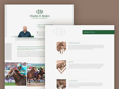 Website Design - Thoroughbred Bloodstock Agent branding css design horse horse racing html html css thoroughbred ui ux web web design website website design