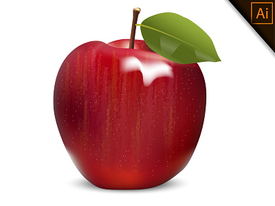 Vector Realistic Red Apple with a leaf