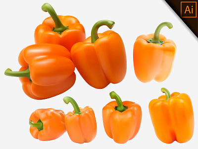 Gradient Mesh Vector Illustration of a Orange Paprika capsicum chili design fruit gradient mesh healthy illustration meshfill meshfill art natural organic paprika pepper realism realistic vector vegetable