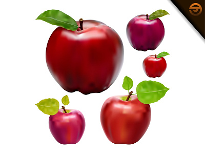 Fresh Red Apple With Gradient Mesh, Vector Illustration